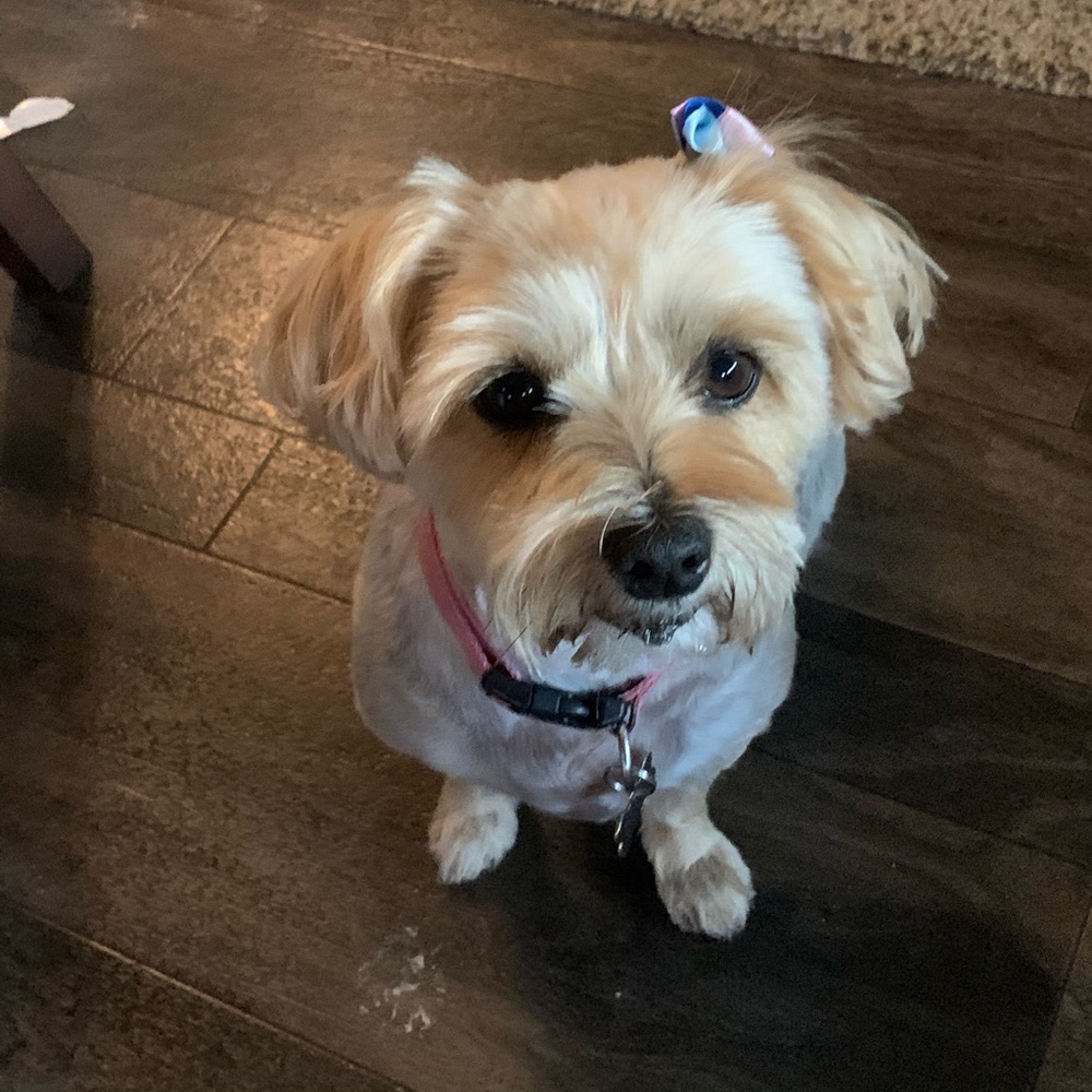 Meet your Posher, Marissa